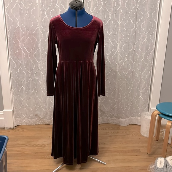 appleseeds Dresses Appleseeds Long Maxi Purple Long Sleeve Velour